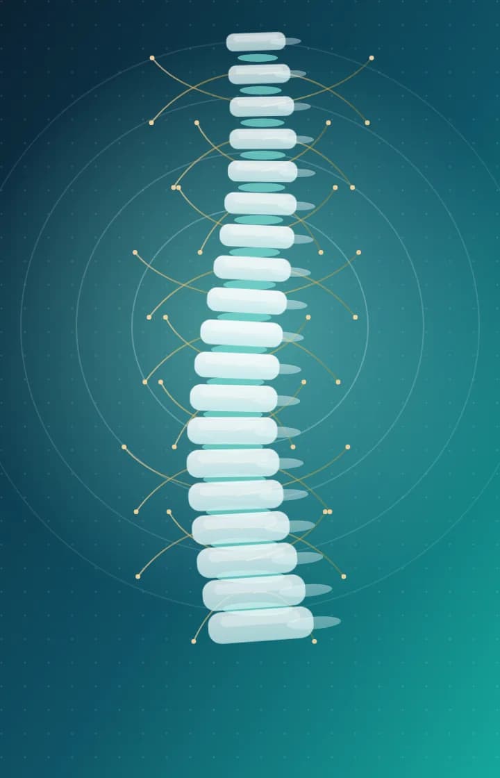 Illustration of a healthy spine with glowing nerve pathways, representing root-cause diagnosis at Dr. Biswas Pain Clinic